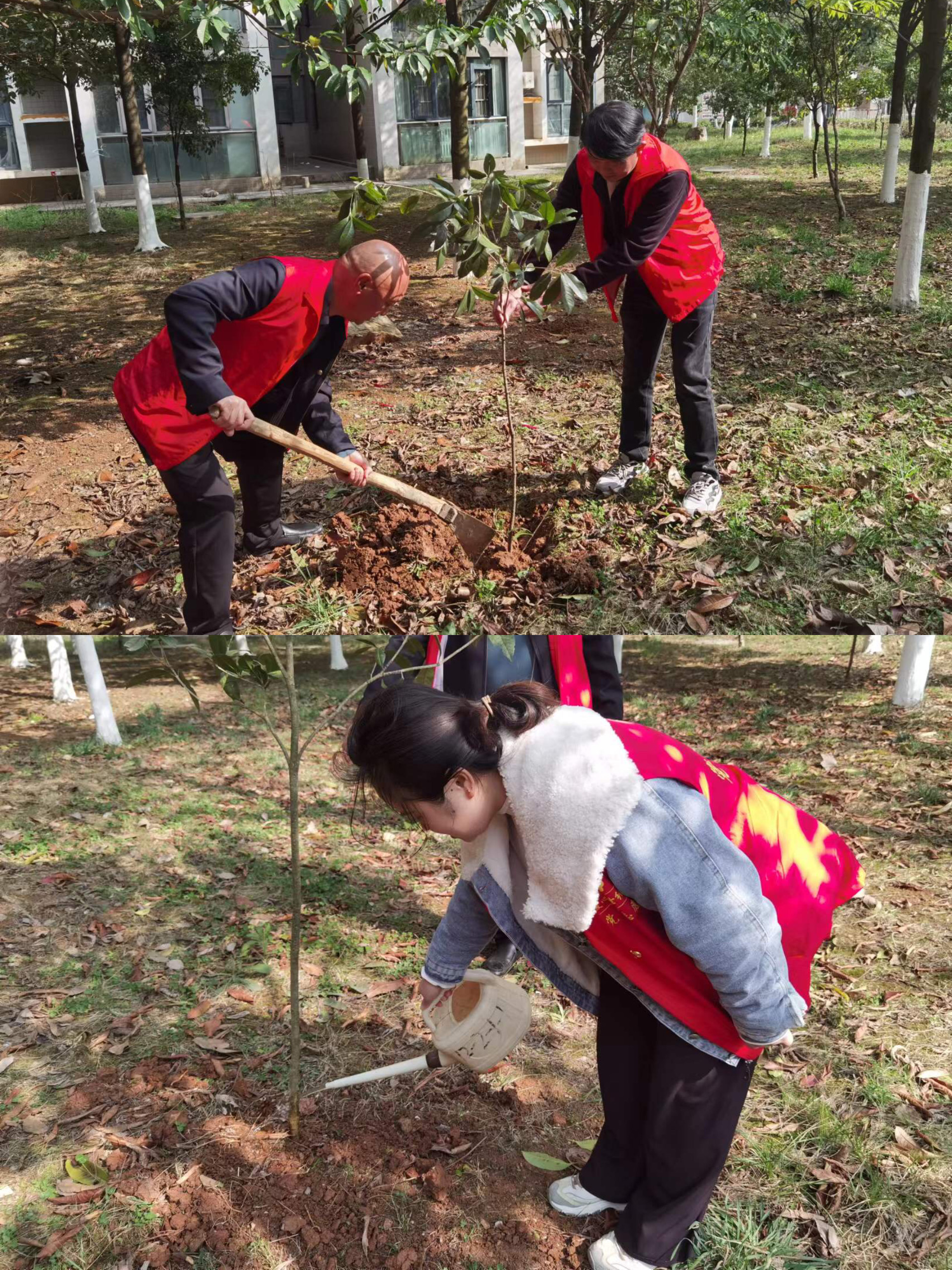 해외 토토 사이트